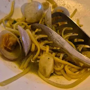 피노 대표 사진