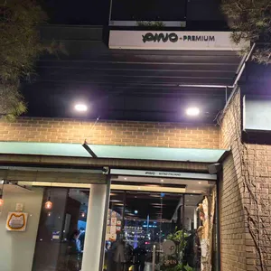 피노 대표 사진