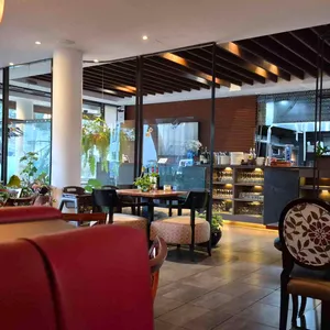 피노 대표 사진