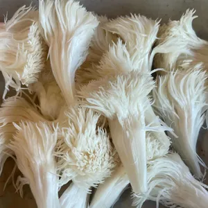 버섯잔치집 리뷰 사진