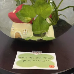 하츠커피 리뷰 사진