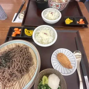 코시 대표 사진