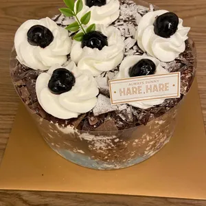 하레하레 사진 1