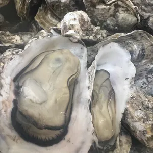 고향굴수산 사진