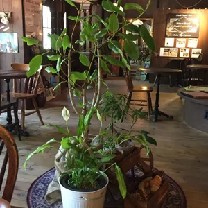 프랭크커핀바 대표 사진