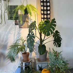 오프위고 대표 사진