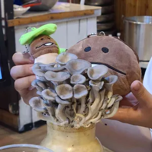 버섯잔치집 사진