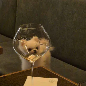 장싸롱리저브 대표 사진