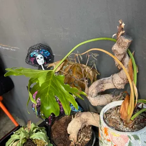 마토미 대표 사진