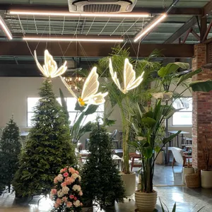 바리루스 대표 사진