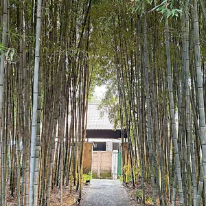 풍류소제 사진 1