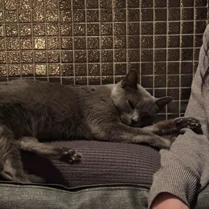 몽블랙 대표 사진