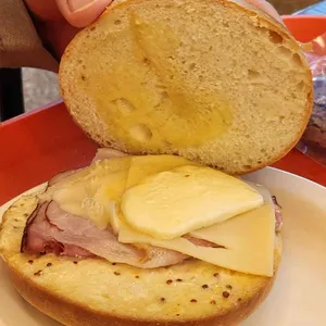 솔라트 대표 사진