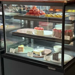 커피나무 대표 사진