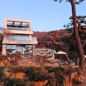 키스톤 스피시즈 리뷰 사진