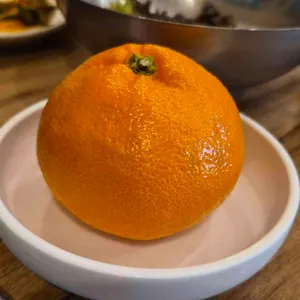 버섯집초리골 사진