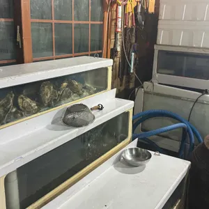 호랑이와 곶감마차 대표 사진