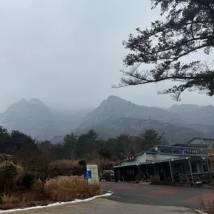 피크니처 리뷰 사진