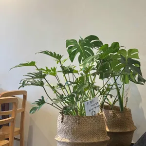 노이식탁 대표 사진