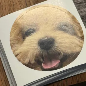 오루프 대표 사진