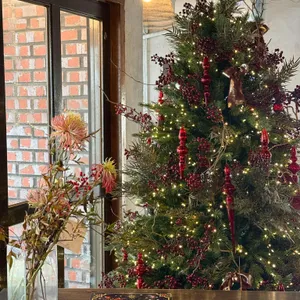 하나비 대표 사진