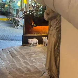 조양방직 대표 사진