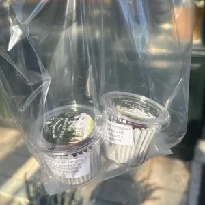 왓어원더 대표 사진