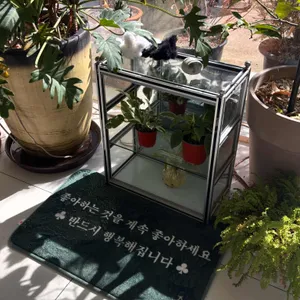 인커브 리뷰 사진