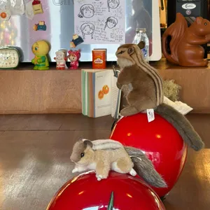 윤숲 리뷰 사진