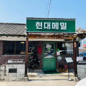 현대메밀 사진 1