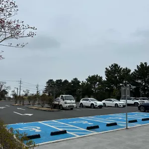 바람과 사람 그리고 미술관 바사그미 리뷰 사진