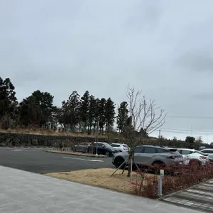 바람과 사람 그리고 미술관 바사그미 리뷰 사진