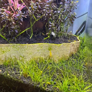 작은연못 리뷰 사진