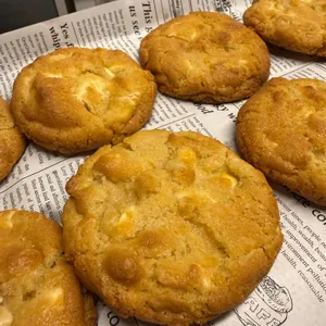 젠지스 대표 사진