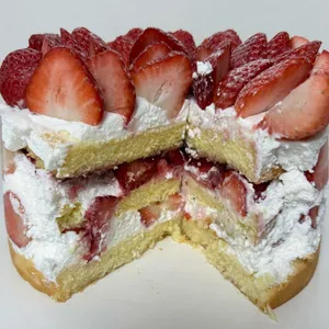 제이델링 대표 사진