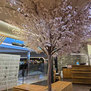 요시카츠 대표 사진