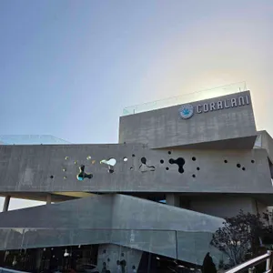 코랄라니 대표 사진