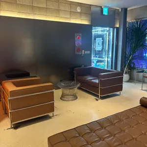 더 이퀼리브리엄 커피 대표 사진