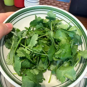 렛츠포타임 대표 사진