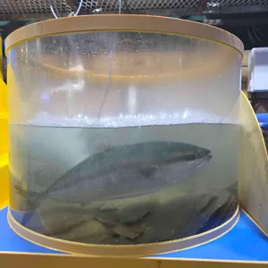 속초오징어어시장 사진 2