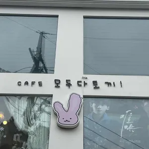 모두다토끼 사진