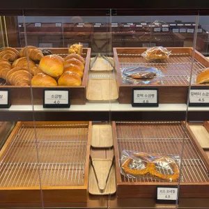 엘리 대표 사진