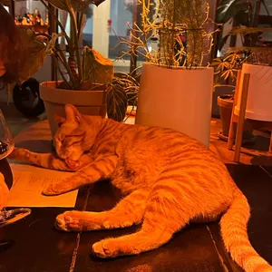 윤활 대표 사진