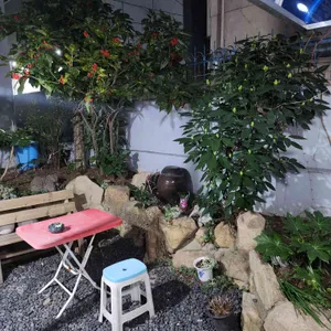 해동대구뽈찜 대표 사진