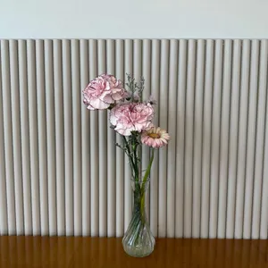 이퀄센세이션 대표 사진