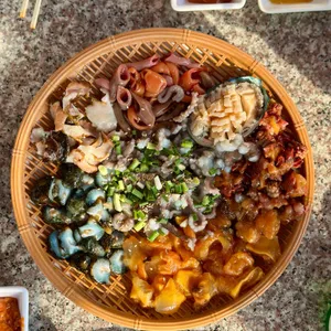 은빛해물 대표 사진