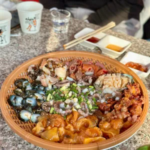 은빛해물 대표 사진