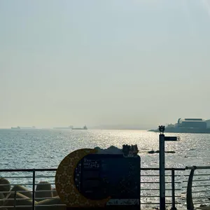 은빛해물 리뷰 사진