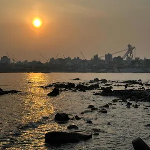 은빛해물 리뷰 사진