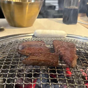 고규 대표 사진